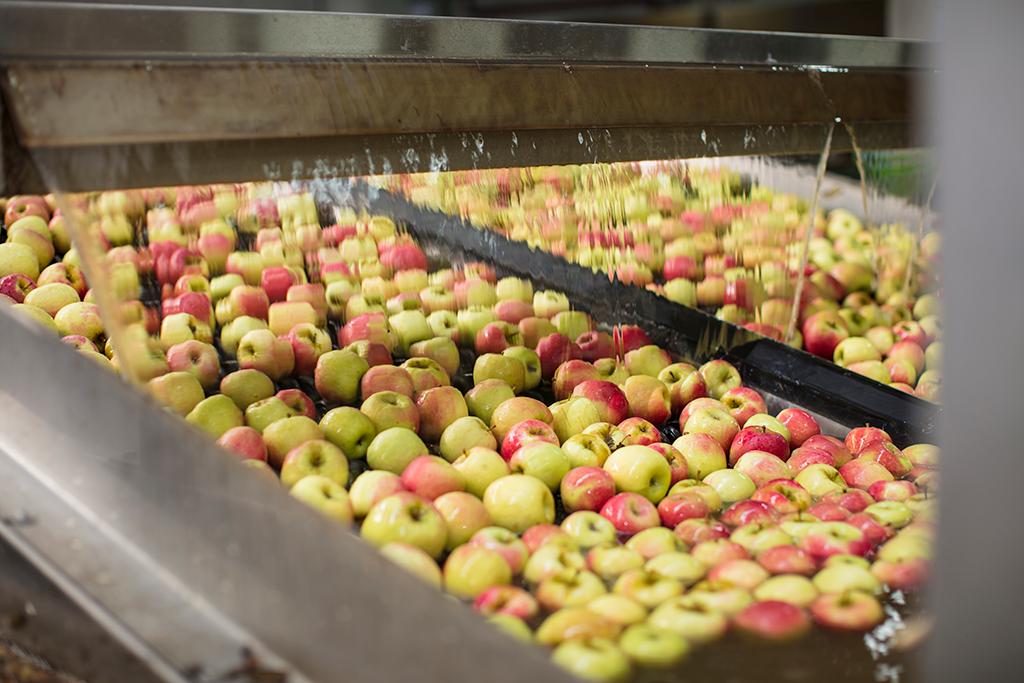 농산물 가공시 전처리 및 공정 HACCP 관리